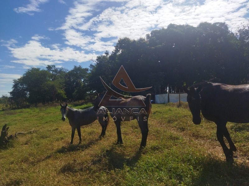 Aliança Imóveis - Imobiliária em Ribeirão Preto - SP - Sítio - Zona Rural - Mococa