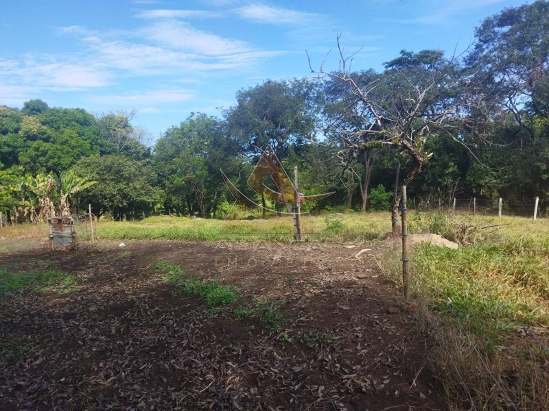 Aliança Imóveis - Imobiliária em Ribeirão Preto - SP - Sítio - Zona Rural - Mococa