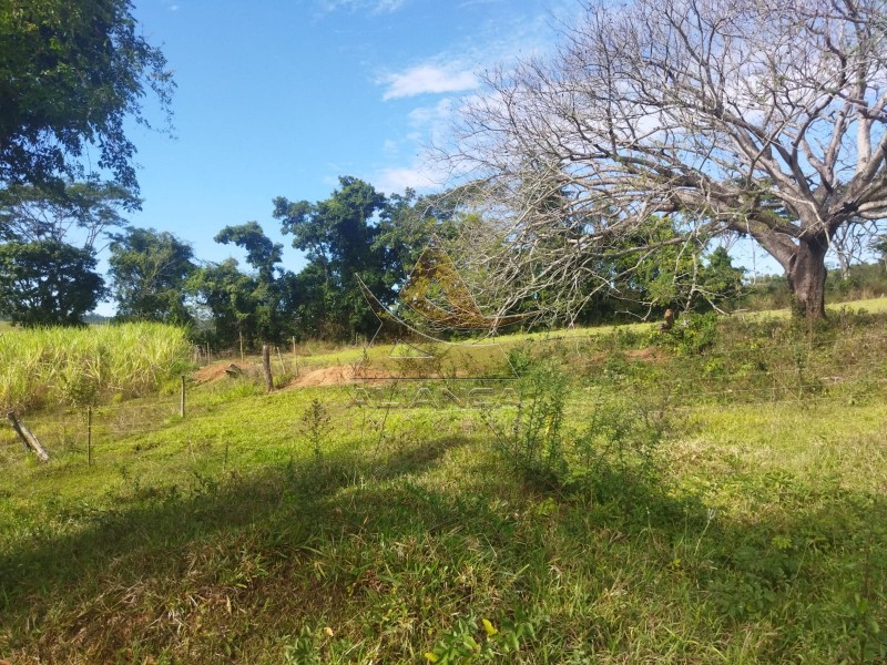 Aliança Imóveis - Imobiliária em Ribeirão Preto - SP - Sítio - Zona Rural - Mococa