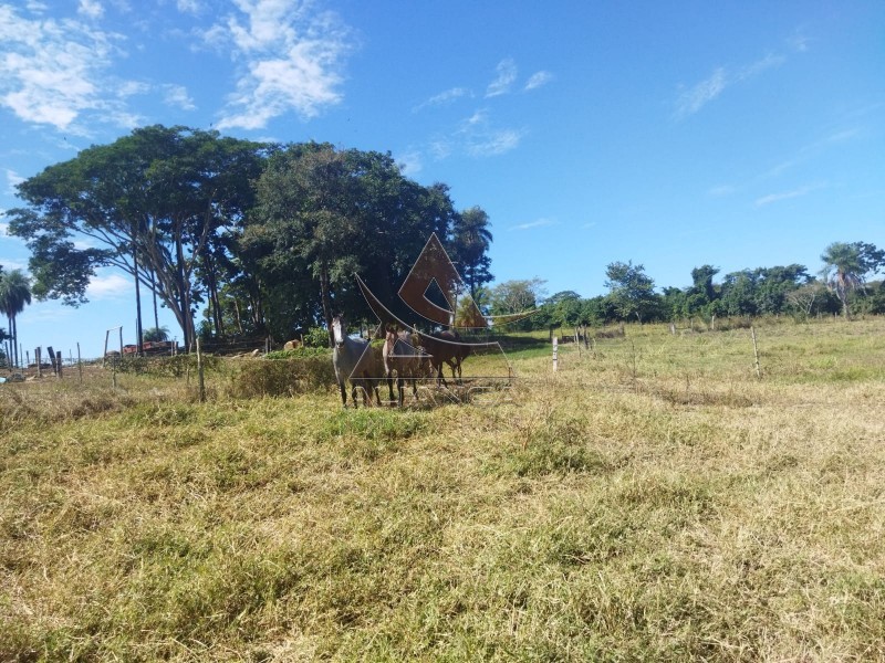 Aliança Imóveis - Imobiliária em Ribeirão Preto - SP - Sítio - Zona Rural - Mococa