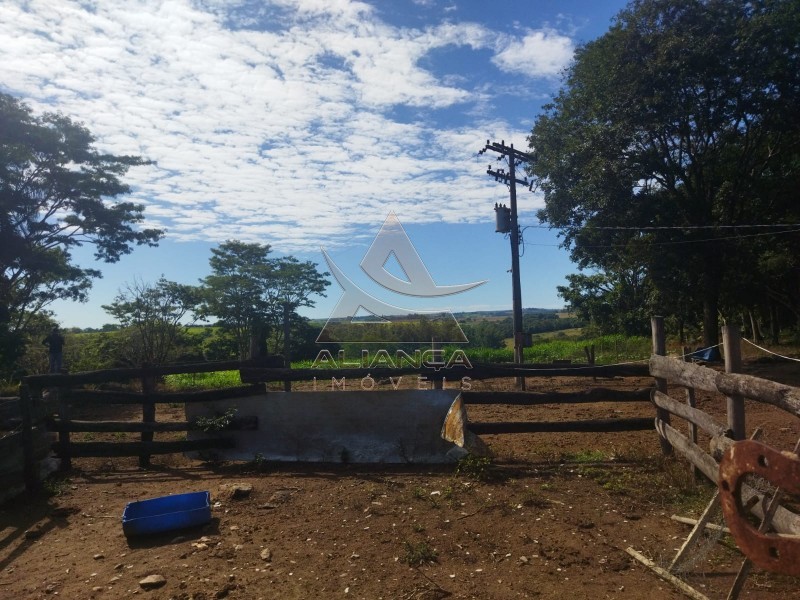 Aliança Imóveis - Imobiliária em Ribeirão Preto - SP - Sítio - Zona Rural - Mococa