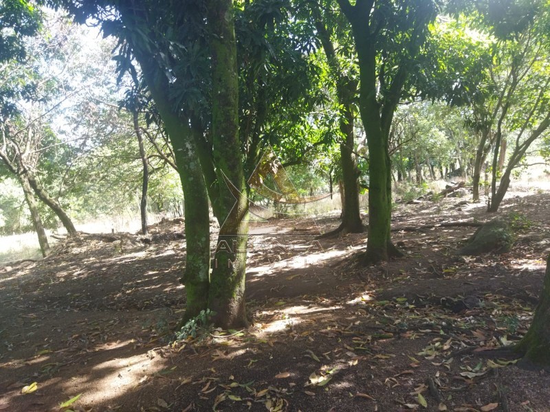 Aliança Imóveis - Imobiliária em Ribeirão Preto - SP - Sítio - Zona Rural - Mococa