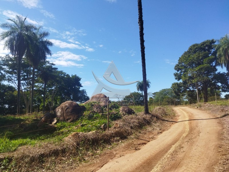 Aliança Imóveis - Imobiliária em Ribeirão Preto - SP - Sítio - Zona Rural - Mococa