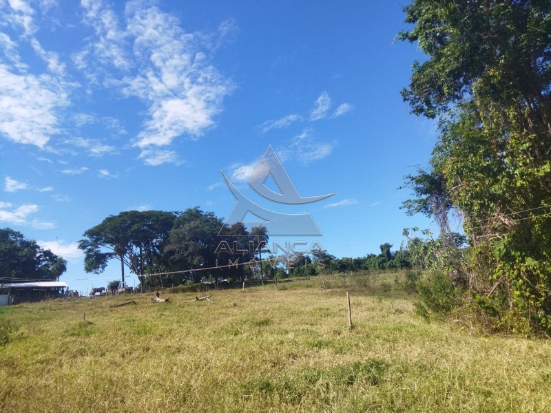 Aliança Imóveis - Imobiliária em Ribeirão Preto - SP - Sítio - Zona Rural - Mococa