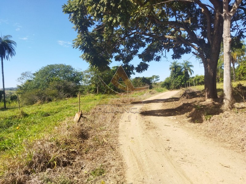 Aliança Imóveis - Imobiliária em Ribeirão Preto - SP - Sítio - Zona Rural - Mococa
