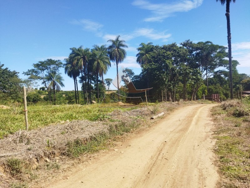 Aliança Imóveis - Imobiliária em Ribeirão Preto - SP - Sítio - Zona Rural - Mococa