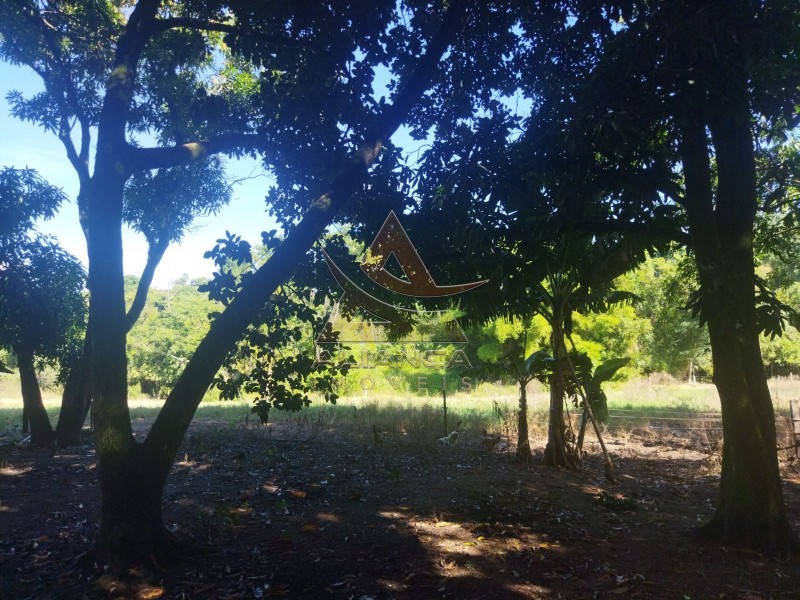 Aliança Imóveis - Imobiliária em Ribeirão Preto - SP - Sítio - Zona Rural - Mococa