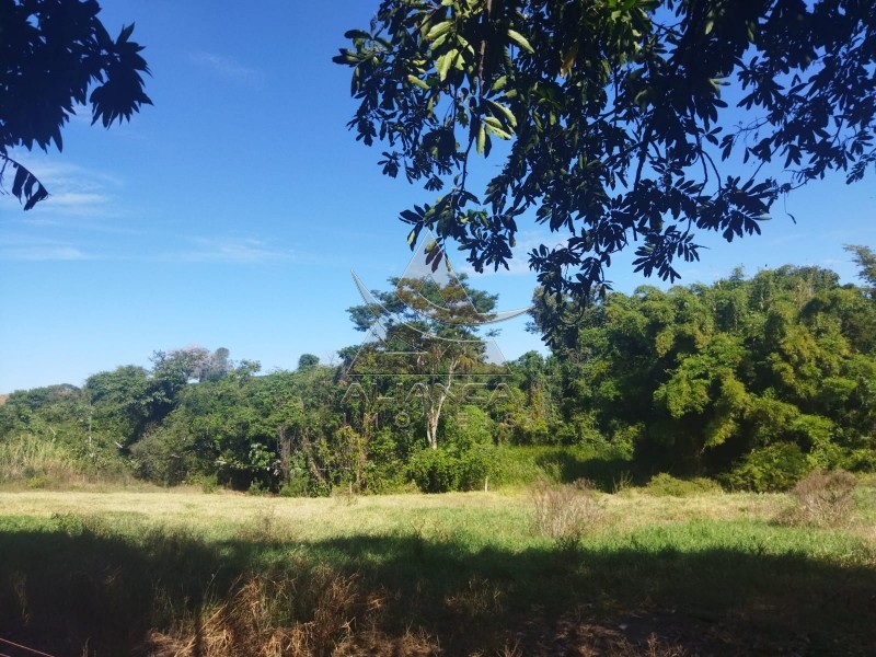Aliança Imóveis - Imobiliária em Ribeirão Preto - SP - Sítio - Zona Rural - Mococa