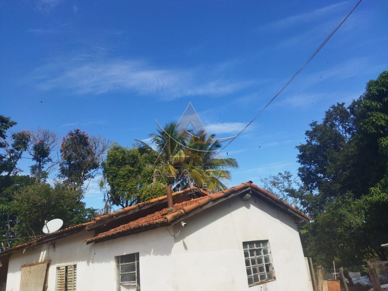 Aliança Imóveis - Imobiliária em Ribeirão Preto - SP - Sítio - Zona Rural - Mococa