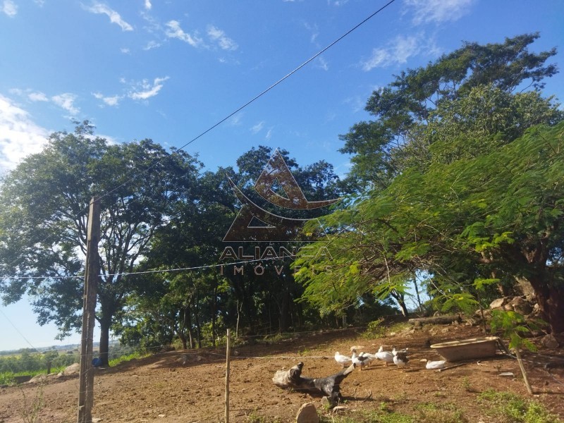 Aliança Imóveis - Imobiliária em Ribeirão Preto - SP - Sítio - Zona Rural - Mococa