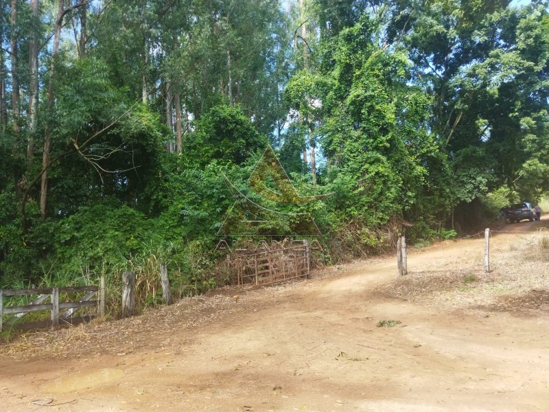 Aliança Imóveis - Imobiliária em Ribeirão Preto - SP - Sítio - Zona Rural - Mococa