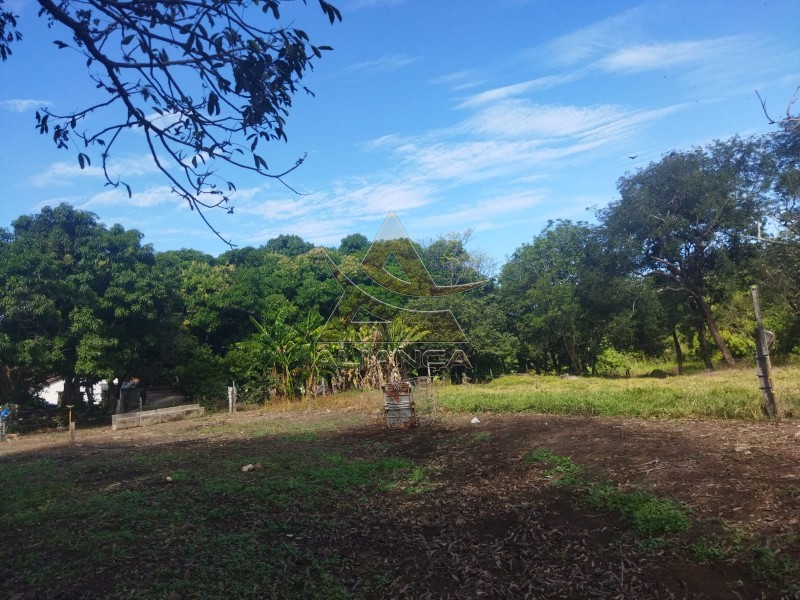 Aliança Imóveis - Imobiliária em Ribeirão Preto - SP - Sítio - Zona Rural - Mococa