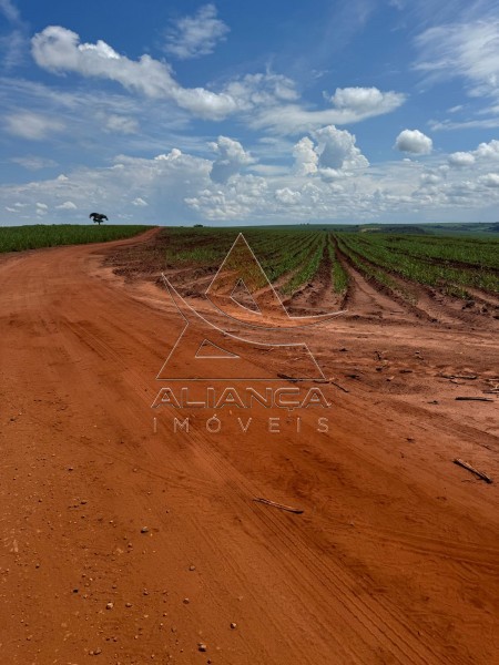 Aliança Imóveis - Imobiliária em Ribeirão Preto - SP - Fazenda  - Zona Rural - Gavião Peixoto