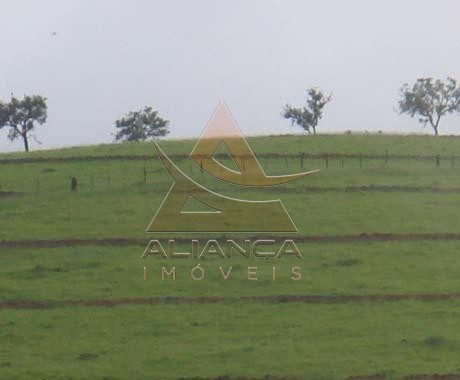 Aliança Imóveis - Imobiliária em Ribeirão Preto - SP - Fazenda  - Zona Rural - Capitólio