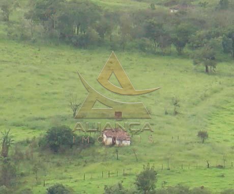 Aliança Imóveis - Imobiliária em Ribeirão Preto - SP - Fazenda  - Zona Rural - Capitólio