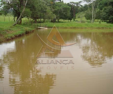 Aliança Imóveis - Imobiliária em Ribeirão Preto - SP - Fazenda  - Zona Rural - Capitólio