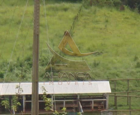 Aliança Imóveis - Imobiliária em Ribeirão Preto - SP - Fazenda  - Zona Rural - Capitólio