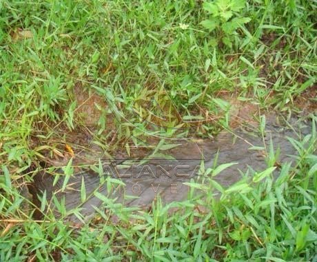 Aliança Imóveis - Imobiliária em Ribeirão Preto - SP - Fazenda  - Zona Rural - Capitólio