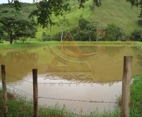 Aliança Imóveis - Imobiliária em Ribeirão Preto - SP - Fazenda  - Zona Rural - Capitólio