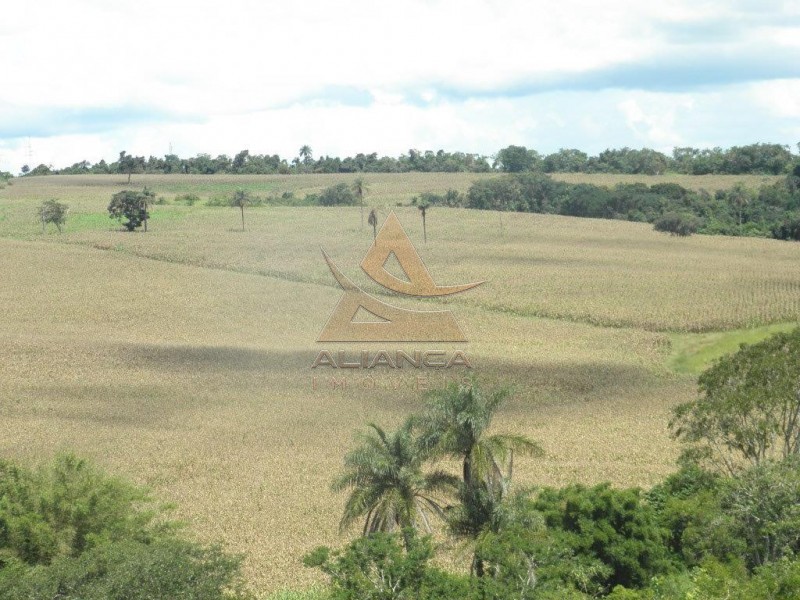 Aliança Imóveis - Imobiliária em Ribeirão Preto - SP - Fazenda  - Zona Rural - Passos