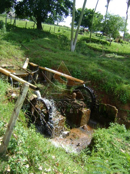 Aliança Imóveis - Imobiliária em Ribeirão Preto - SP - Fazenda  - Zona Rural - Passos