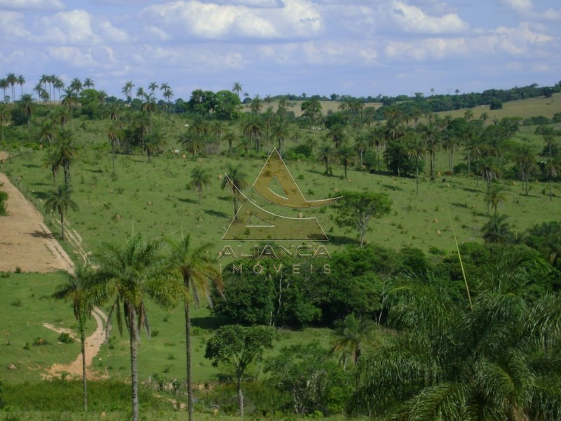 Aliança Imóveis - Imobiliária em Ribeirão Preto - SP - Fazenda  - Zona Rural - Passos