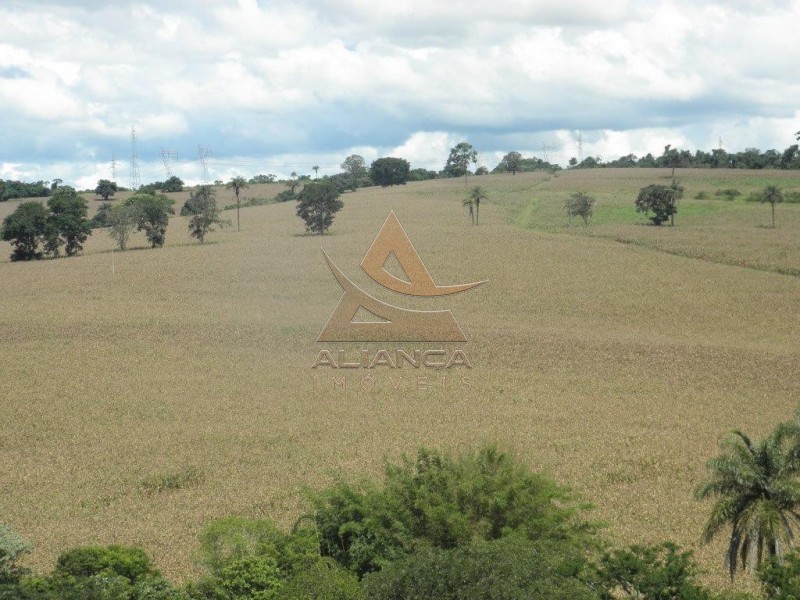 Aliança Imóveis - Imobiliária em Ribeirão Preto - SP - Fazenda  - Zona Rural - Passos