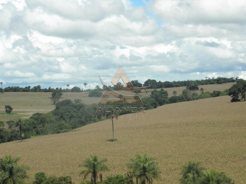 Aliança Imóveis - Imobiliária em Ribeirão Preto - SP - Fazenda  - Zona Rural - Passos