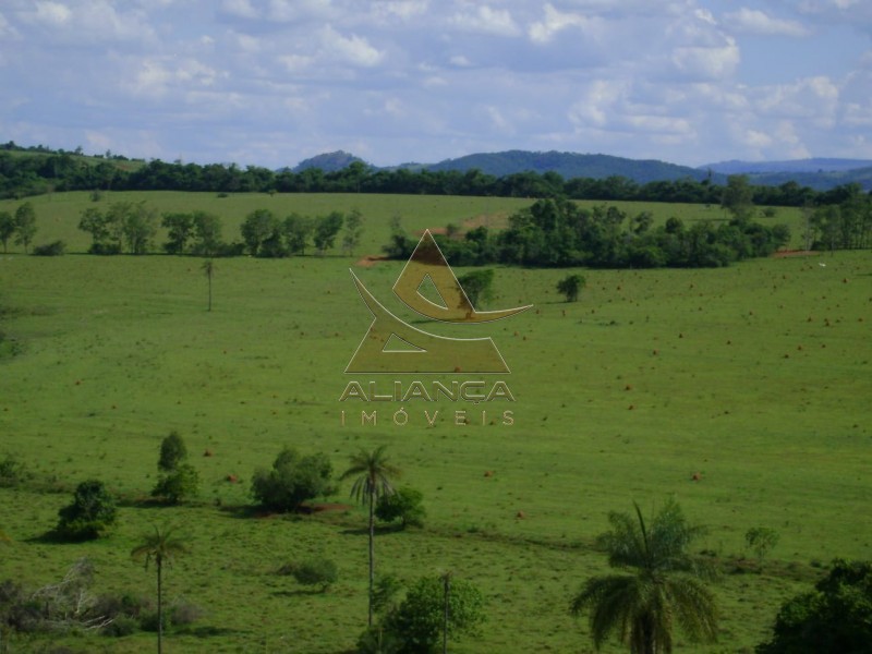 Aliança Imóveis - Imobiliária em Ribeirão Preto - SP - Fazenda  - Zona Rural - Passos