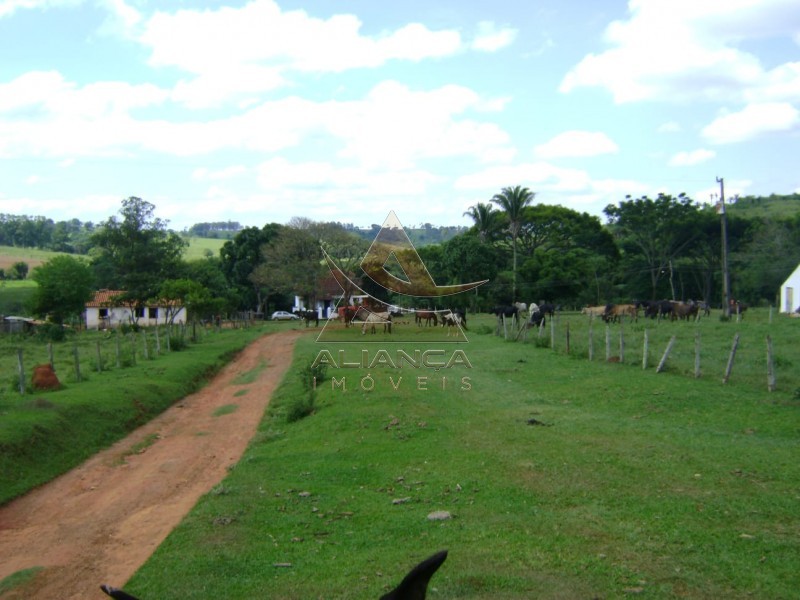 Aliança Imóveis - Imobiliária em Ribeirão Preto - SP - Fazenda  - Zona Rural - Passos