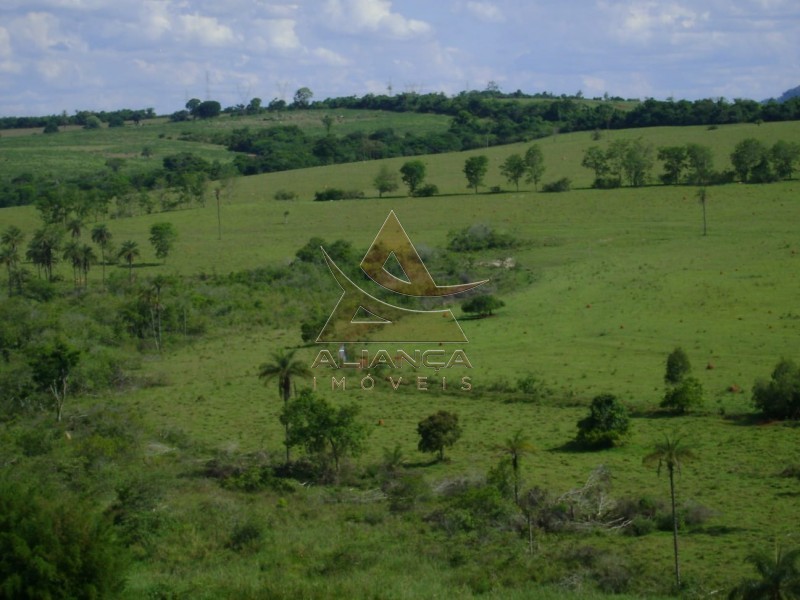 Aliança Imóveis - Imobiliária em Ribeirão Preto - SP - Fazenda  - Zona Rural - Passos