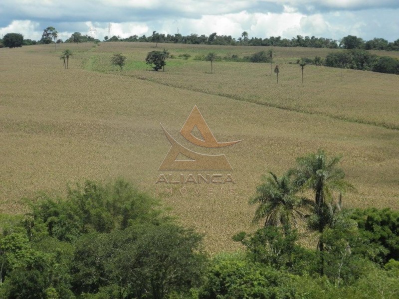 Aliança Imóveis - Imobiliária em Ribeirão Preto - SP - Fazenda  - Zona Rural - Passos