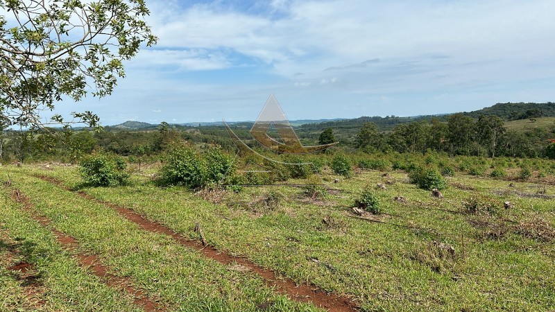 Aliança Imóveis - Imobiliária em Ribeirão Preto - SP - Fazenda  - Zona Rural - Santo Antônio do Amparo