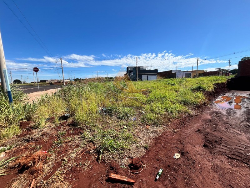 Aliança Imóveis - Imobiliária em Ribeirão Preto - SP - Terreno - Palmares - Ribeirão Preto