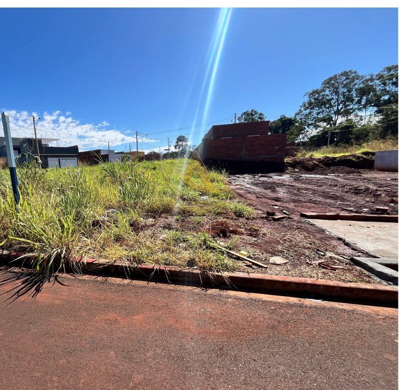 Aliança Imóveis - Imobiliária em Ribeirão Preto - SP - Terreno - Palmares - Ribeirão Preto
