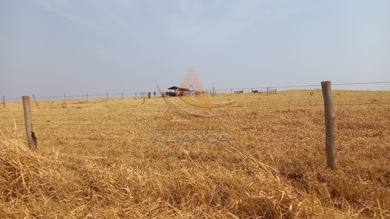 Aliança Imóveis - Imobiliária em Ribeirão Preto - SP - Fazenda  - Zona Rural - Prata