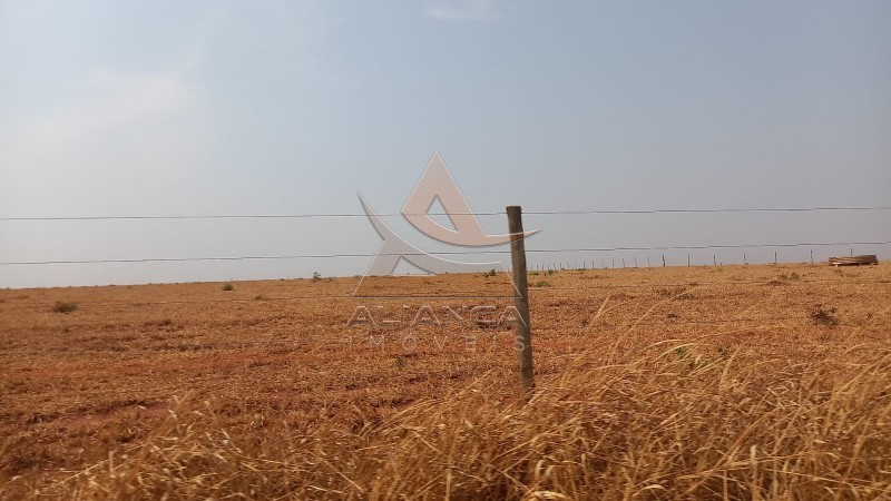 Aliança Imóveis - Imobiliária em Ribeirão Preto - SP - Fazenda  - Zona Rural - Prata