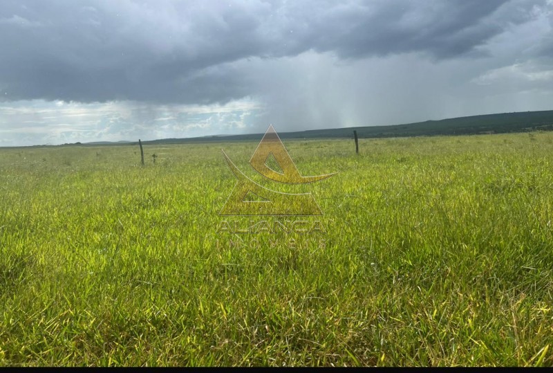 Aliança Imóveis - Imobiliária em Ribeirão Preto - SP - Fazenda  - Zona Rural - Prata