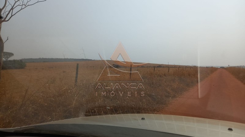 Aliança Imóveis - Imobiliária em Ribeirão Preto - SP - Fazenda  - Zona Rural - Prata