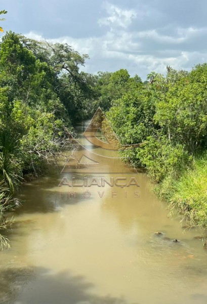 Aliança Imóveis - Imobiliária em Ribeirão Preto - SP - Fazenda  - Zona Rural - Prata
