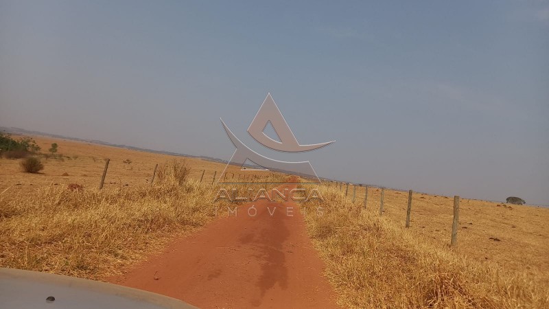 Aliança Imóveis - Imobiliária em Ribeirão Preto - SP - Fazenda  - Zona Rural - Prata