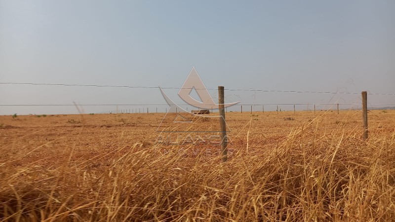 Aliança Imóveis - Imobiliária em Ribeirão Preto - SP - Fazenda  - Zona Rural - Prata