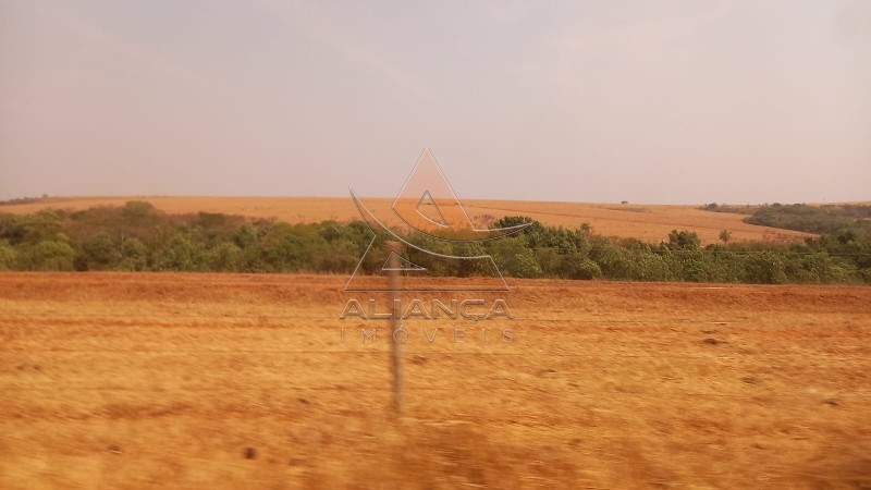 Aliança Imóveis - Imobiliária em Ribeirão Preto - SP - Fazenda  - Zona Rural - Prata