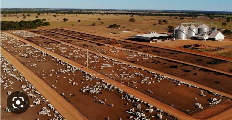 Aliança Imóveis - Imobiliária em Ribeirão Preto - SP - Fazenda  - Zona Rural - São Miguel do Araguaia 