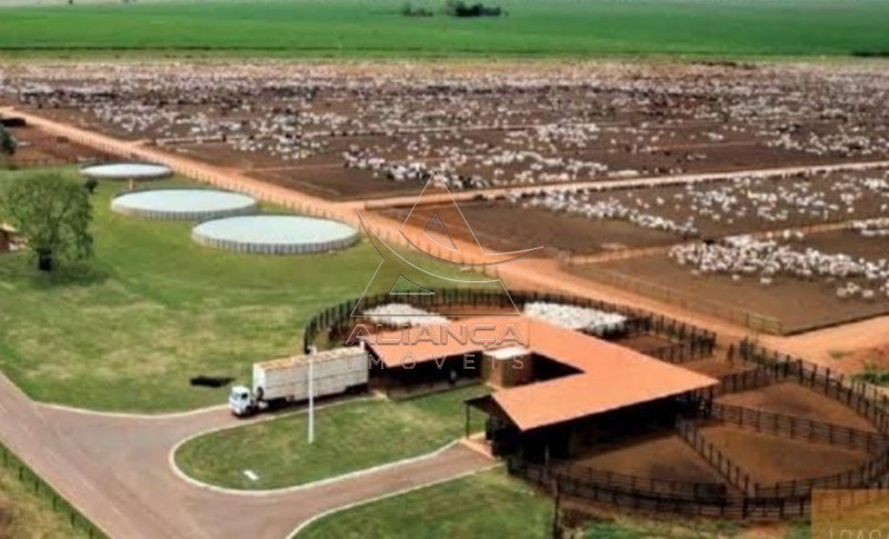 Aliança Imóveis - Imobiliária em Ribeirão Preto - SP - Fazenda  - Zona Rural - São Miguel do Araguaia 