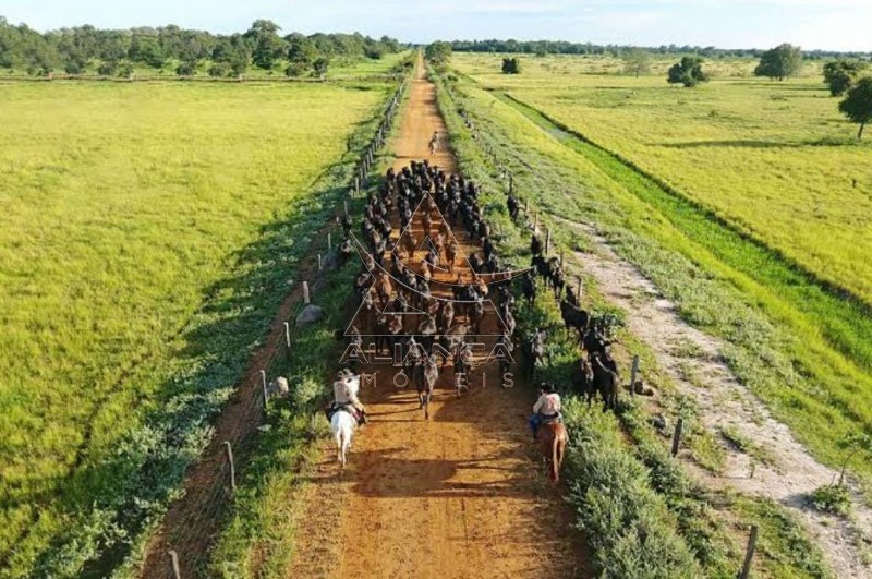 Aliança Imóveis - Imobiliária em Ribeirão Preto - SP - Fazenda  - Zona Rural - São Miguel do Araguaia 