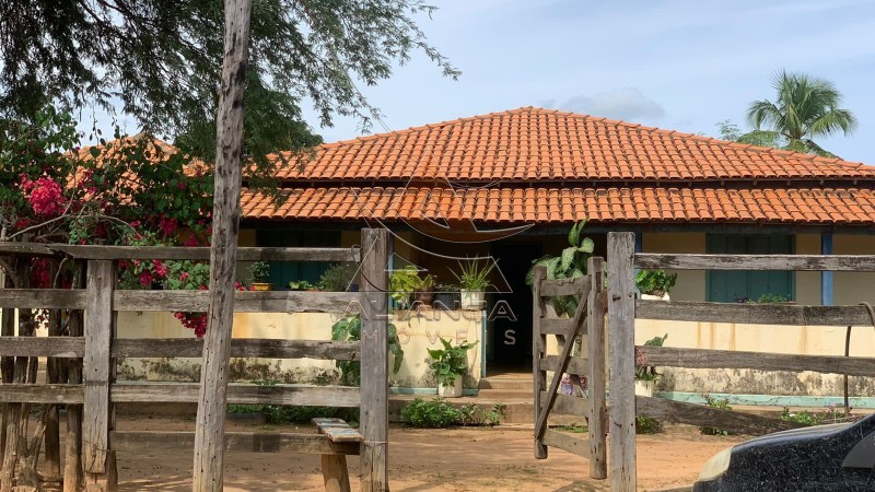 Aliança Imóveis - Imobiliária em Ribeirão Preto - SP - Fazenda  - Zona Rural - Jaíba 