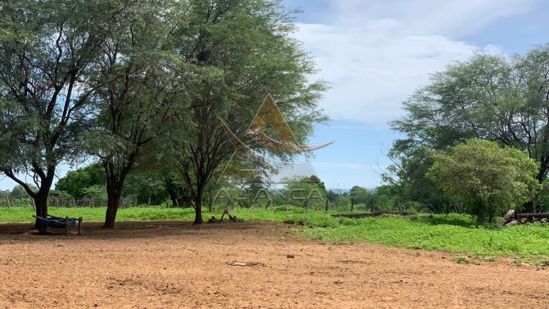 Aliança Imóveis - Imobiliária em Ribeirão Preto - SP - Fazenda  - Zona Rural - Jaíba 