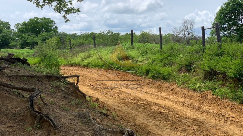 Aliança Imóveis - Imobiliária em Ribeirão Preto - SP - Fazenda  - Zona Rural - Jaíba 