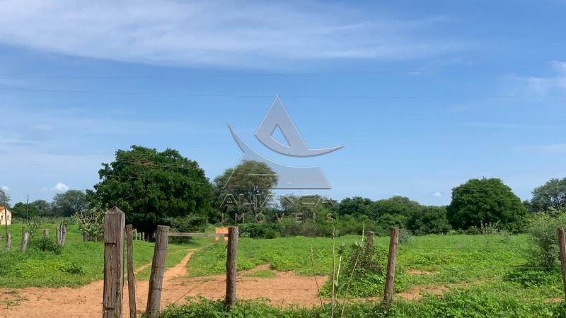 Aliança Imóveis - Imobiliária em Ribeirão Preto - SP - Fazenda  - Zona Rural - Jaíba 